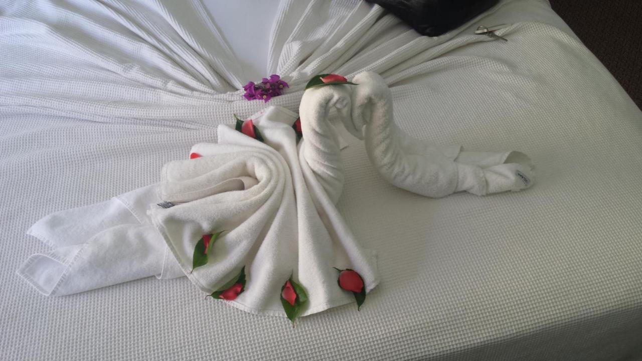 B&B Bovenweg レーネン エクステリア 写真